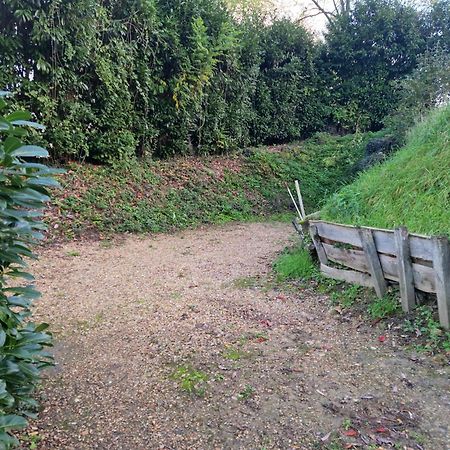 Gite des petites ruelles : familial et chaleureux Trôo Extérieur photo