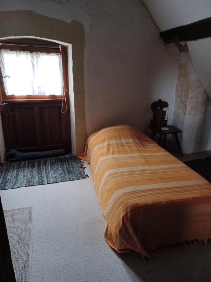 Gite des petites ruelles : familial et chaleureux Trôo Extérieur photo